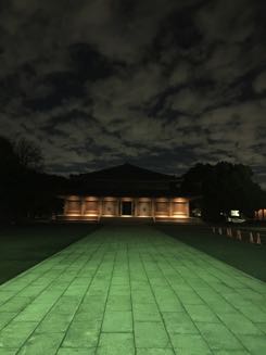 IMG_1611