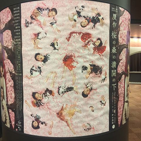 sakura2